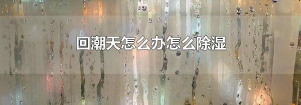 回潮天怎么办怎么除湿