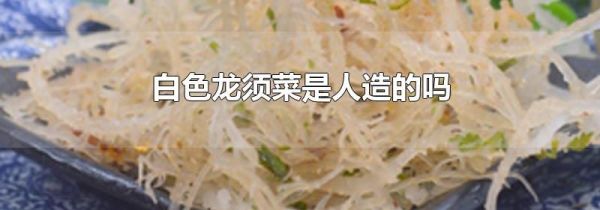 白色龙须菜是人造的吗