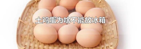 土鸡蛋为啥不能放冰箱