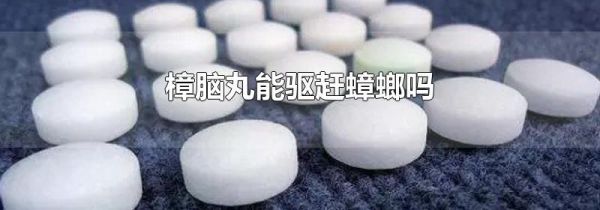 樟脑丸能驱赶蟑螂吗
