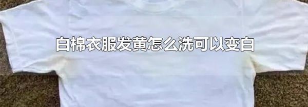 白棉衣服发黄怎么洗可以变白