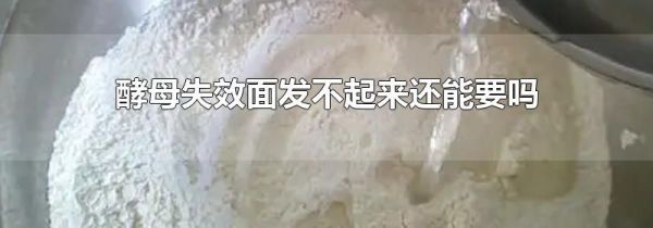酵母失效面发不起来还能要吗