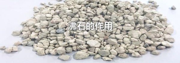 沸石的作用