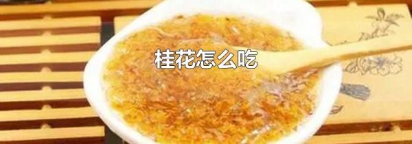 桂花怎么吃
