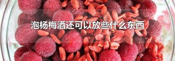泡杨梅酒还可以放些什么东西