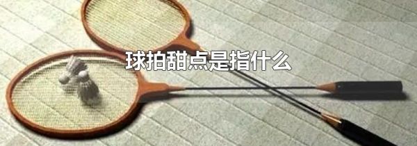球拍甜点是指什么