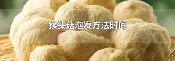 猴头菇泡发方法时间