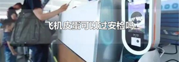 飞机皮蛋可以过安检吗