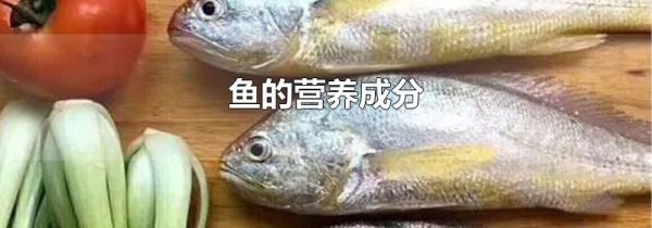 鱼的营养成分