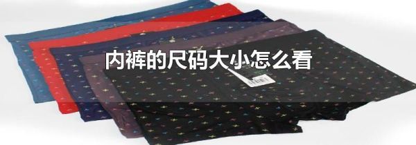内裤的尺码大小怎么看