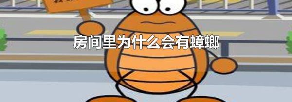 房间里为什么会有蟑螂
