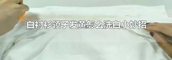 白衬衫领子发黄怎么洗白小妙招