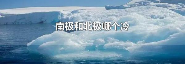 南极和北极哪个冷