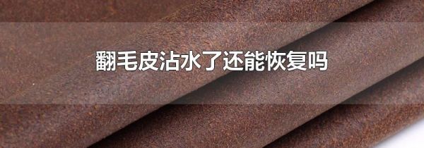 翻毛皮沾水了还能恢复吗