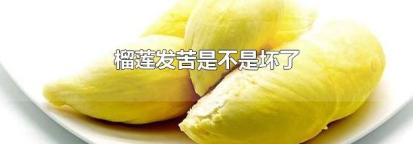 榴莲发苦是不是坏了