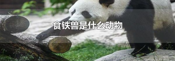 食铁兽是什么动物
