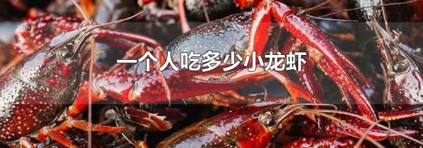 一个人吃多少小龙虾