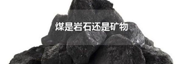 煤是岩石还是矿物