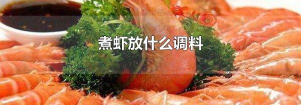 煮虾放什么调料
