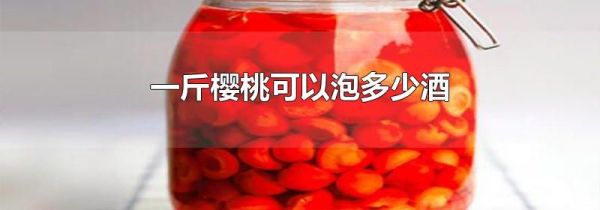 一斤樱桃可以泡多少酒