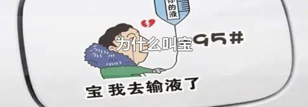 为什么叫宝