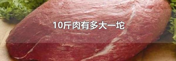 10斤肉有多大一坨