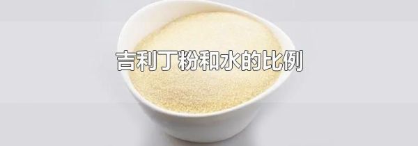 吉利丁粉和水的比例