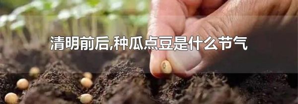 清明前后,种瓜点豆是什么节气
