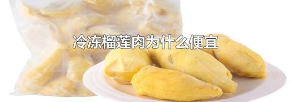 冷冻榴莲肉为什么便宜