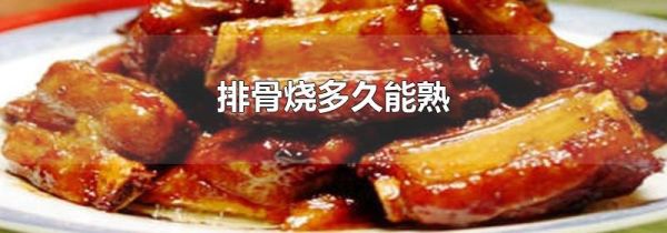排骨烧多久能熟