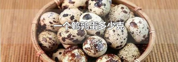 一个鹌鹑蛋多少克