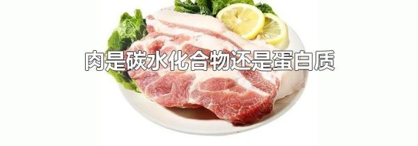 肉是碳水化合物还是蛋白质
