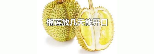 榴莲放几天能开口