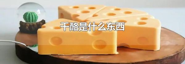 干酪是什么东西