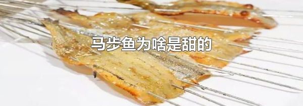 马步鱼为啥是甜的