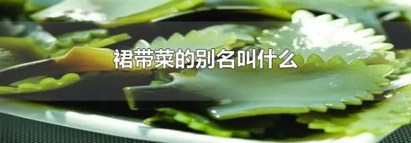 裙带菜的别名叫什么