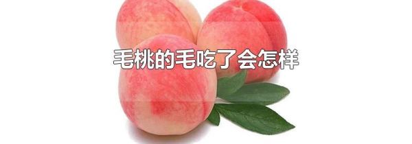 毛桃的毛吃了会怎样