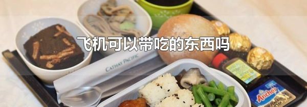 飞机可以带吃的东西吗