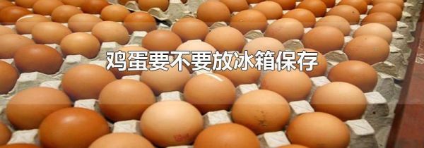 鸡蛋要不要放冰箱保存