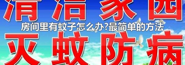 房间里有蚊子怎么办?最简单的方法