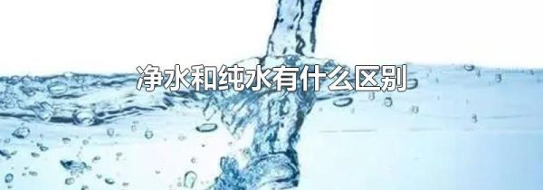 净水和纯水有什么区别