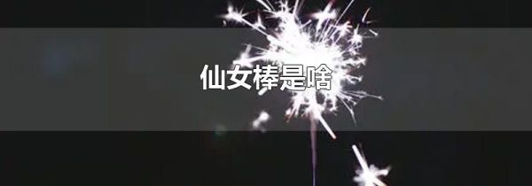 仙女棒是啥