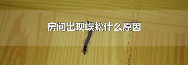 房间出现蜈蚣什么原因