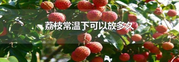 荔枝常温下可以放多久