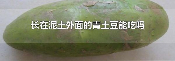 长在泥土外面的青土豆能吃吗