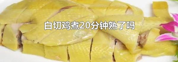 白切鸡煮20分钟熟了吗