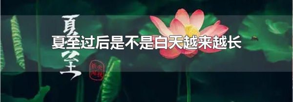 夏至过后是不是白天越来越长