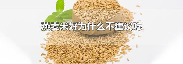 燕麦米好为什么不建议吃
