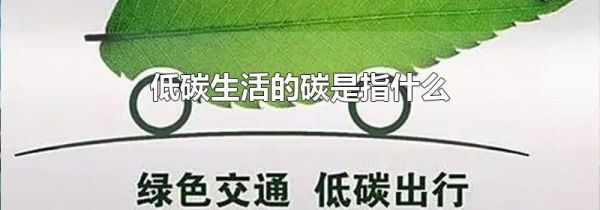 低碳生活的碳是指什么