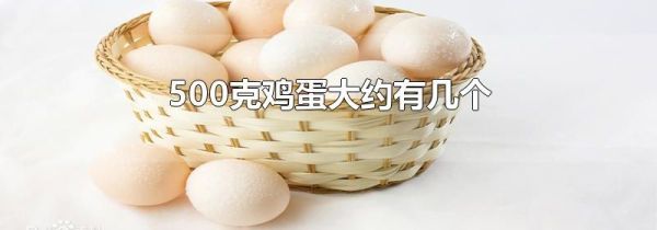 500克鸡蛋大约有几个